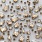 Sew on Rhinestones 100 PCS Mixed Shapes Glass Rhinestones Sew on Crystal Gems Mental Flatback with Silver Claw for Jewelry Crafts Clothes Shoes Costume Garment Champagne